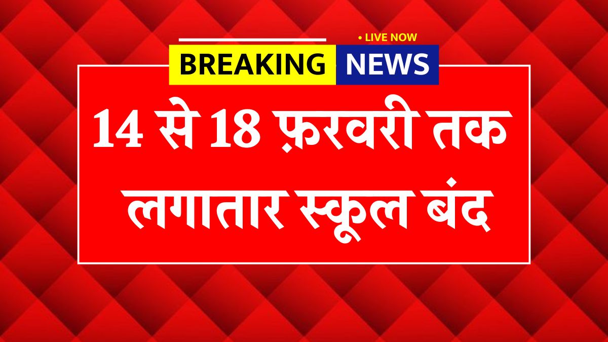 February School Holiday News Update